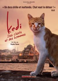 Kedi - des chats et des hommes - edition simple - dvd