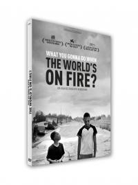 What you gonna do when the world's on fire  ? - dvd