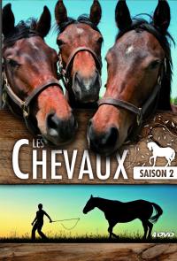 Les chevaux saison 2 - 4 dvd