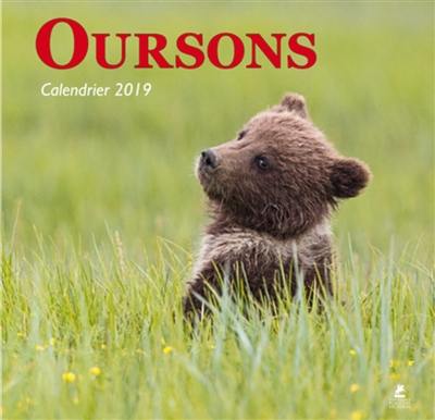 Oursons : calendrier 2019