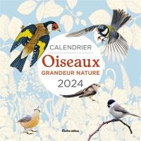 Oiseaux grandeur nature : calendrier mural 2024