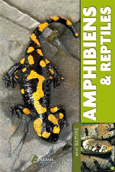 Amphibiens & reptiles
