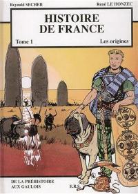 Histoire de France. Vol. 1. Les origines : de la préhistoire aux Gaulois