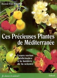 Ces précieuses plantes de Méditerranée : leurs vertus médicinales à la lumière de la science