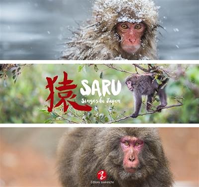 Saru : singes du Japon