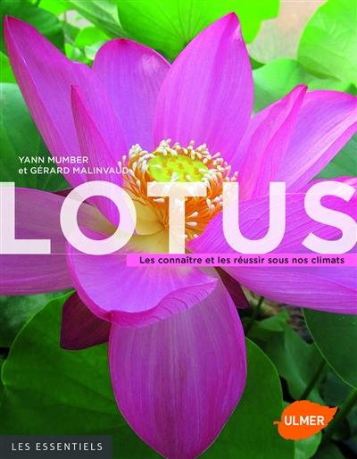 Lotus : les connaître et les réussir sous nos climats