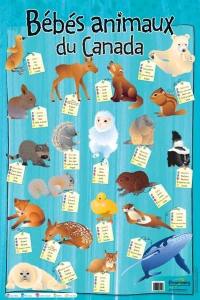 Bébés animaux du Canada