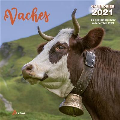 Vaches : calendrier 2021 : de septembre 2020 à décembre 2021
