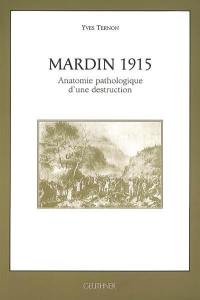 Mardin 1915 : anatomie pathologique d'une destruction