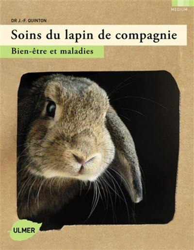 Soins du lapin de compagnie : bien-être et maladies