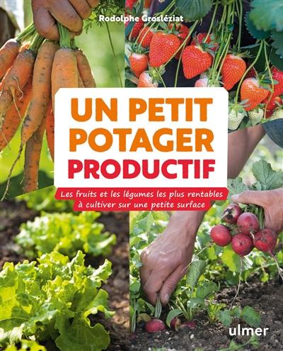 Un petit potager productif : les fruits et les légumes les plus rentables à cultiver sur une petite surface