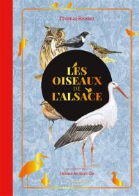 Les oiseaux de l'Alsace