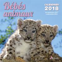 Bébés animaux : calendrier 2018 : de septembre 2017 à décembre 2018