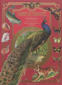 Cabinet de curiosités : animaux : livre-portfolio, vingt-cinq planches originales