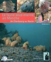 La faune sous-marine en Manche : de Cherbourg au Havre