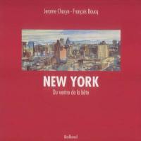 New York : voyage sans amarres du ventre de la bête, novembre 93