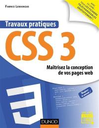 Travaux pratiques CSS3 : maîtrisez la conception de vos pages web