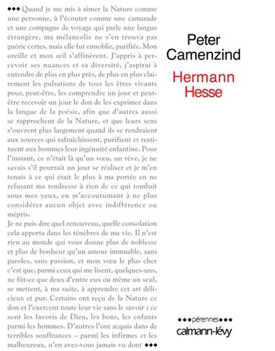 Peter Camenzind : récit