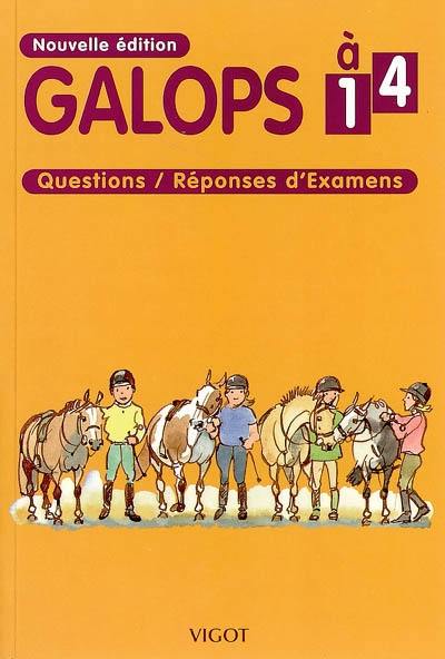 Galops 1 à 4 : questions-réponses d'examens