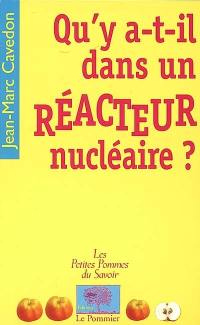 Qu'y a-t-il dans un réacteur nucléaire ?