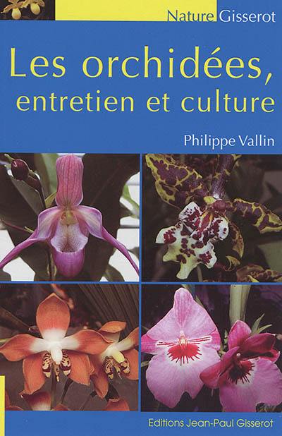 Les orchidées : entretien et culture