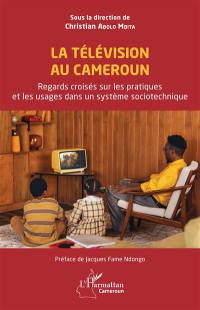 La télévision au Cameroun : regards croisés sur les pratiques et les usages dans un système sociotechnique