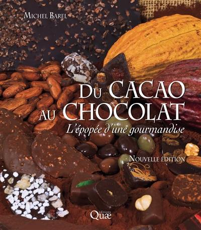 Du cacao au chocolat : l'épopée d'une gourmandise