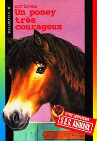 Un poney très courageux