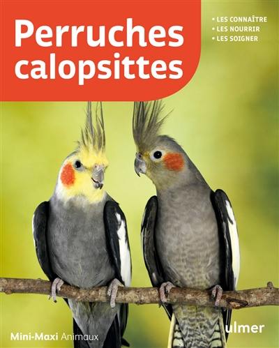 Perruches calopsittes : les connaître, les nourrir, les soigner