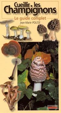 Cueillir les champignons : le guide complet