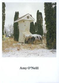 Amy O'Neill, Suburban imagination
