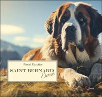 Saint Bernard éternel