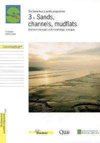 Sands, channels, mudflats : sediment transport and morphologic changes