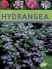 Hydrangea : portraits d'hydrangéas. Hydrangea : portraits of hydrangeas. Hydrangea : hortensienatlas