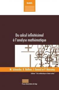 Du calcul infinitésimal à l'analyse mathématique