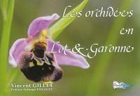 Les orchidées en Lot-&-Garonne