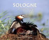 Sologne sauvage