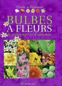 Guide des bulbes à fleurs