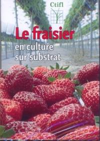 Le fraisier en culture sur substrat