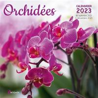 Orchidées : calendrier 2023 : de septembre 2022 à décembre 2023