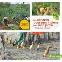 Des canards coureurs indiens dans mon jardin : stop aux limaces ! : les meilleurs amis du permaculteur