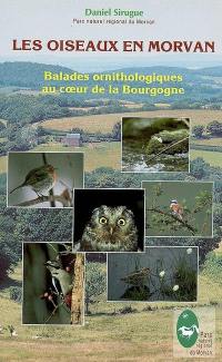 Les oiseaux en Morvan : balades ornithologiques au coeur de la Bourgogne