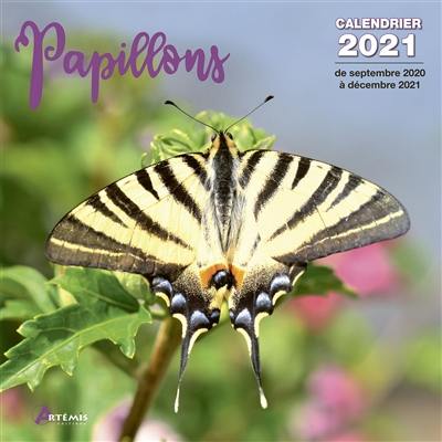 Papillons : calendrier 2021 : de septembre 2020 à décembre 2021