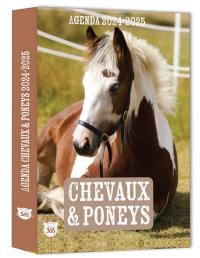 Chevaux & poneys : agenda 2024-2025