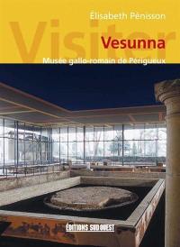 Visiter Vesunna : Musée gallo-romain de Périgueux
