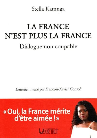 La France n'est plus la France : dialogue non coupable