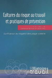 Cultures du risque au travail et pratiques de prévention : la France au regard des pays voisins