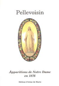 Les quinze apparitions de Notre Dame à Pellevoisin : principaux extraits du récit