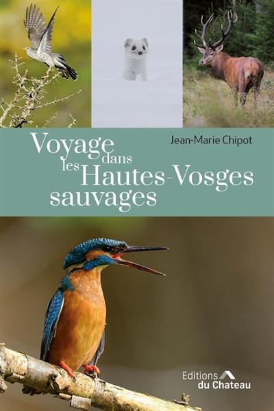 Voyage dans les Hautes-Vosges sauvages