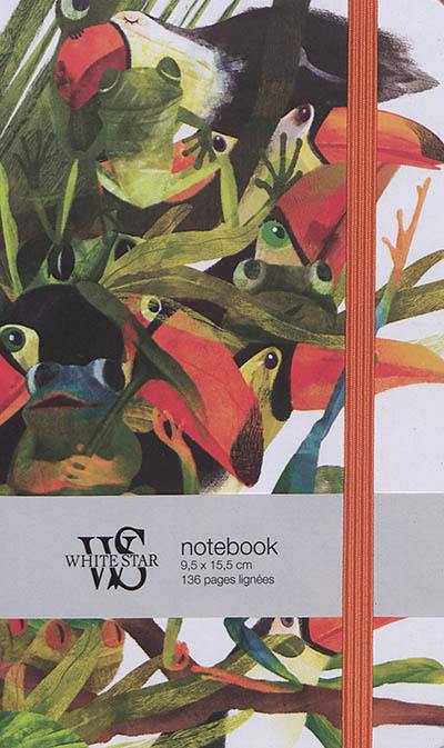 Toucans : notebook